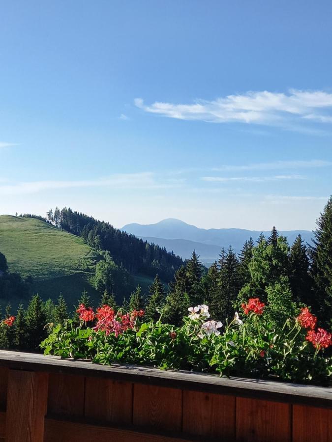 Almchalet Schuster Diex Bagian luar foto