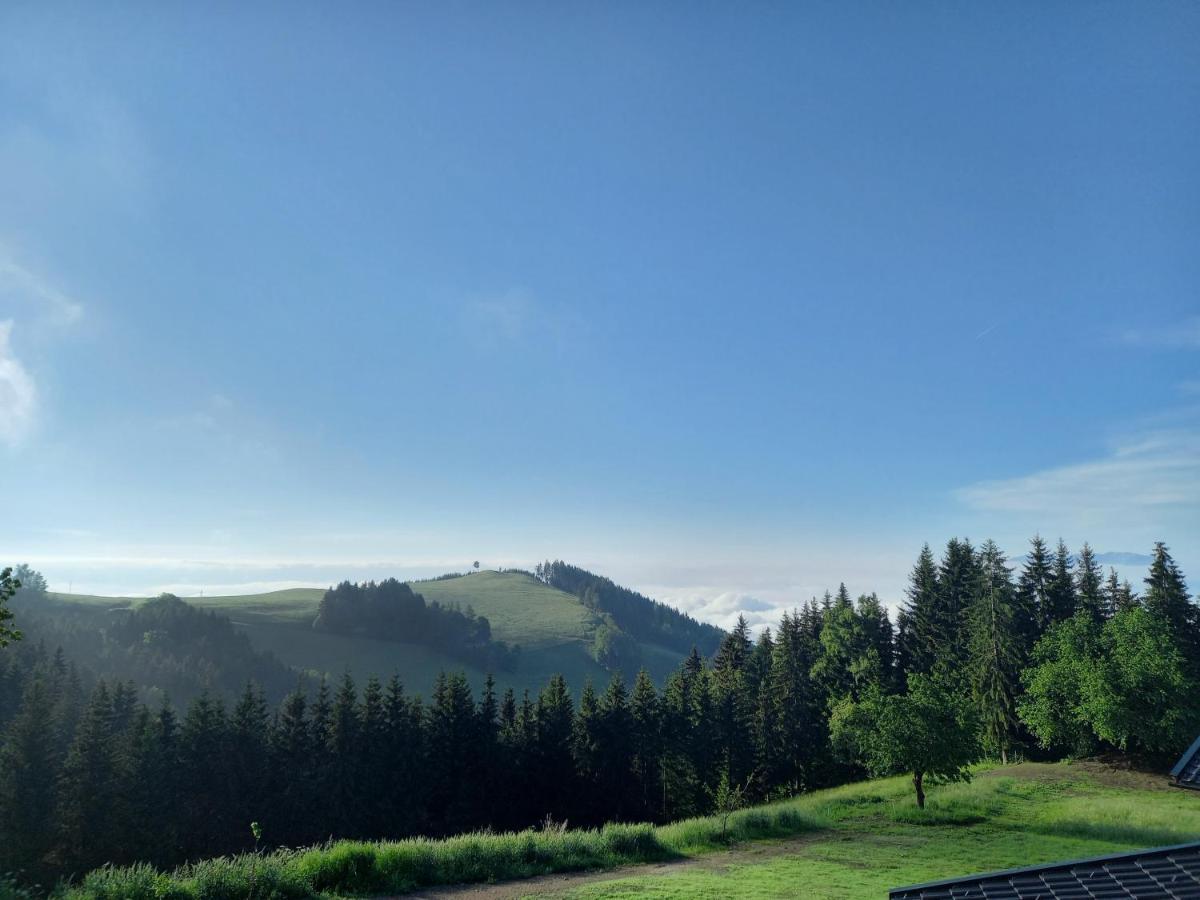 Almchalet Schuster Diex Bagian luar foto