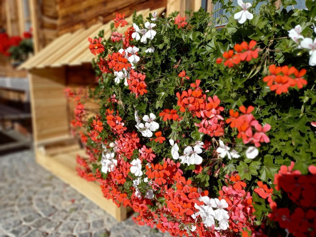 Almchalet Schuster Diex Bagian luar foto