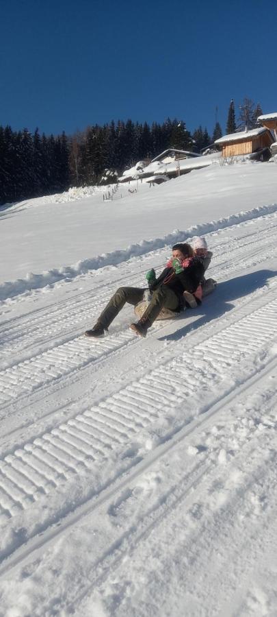 Almchalet Schuster Diex Bagian luar foto